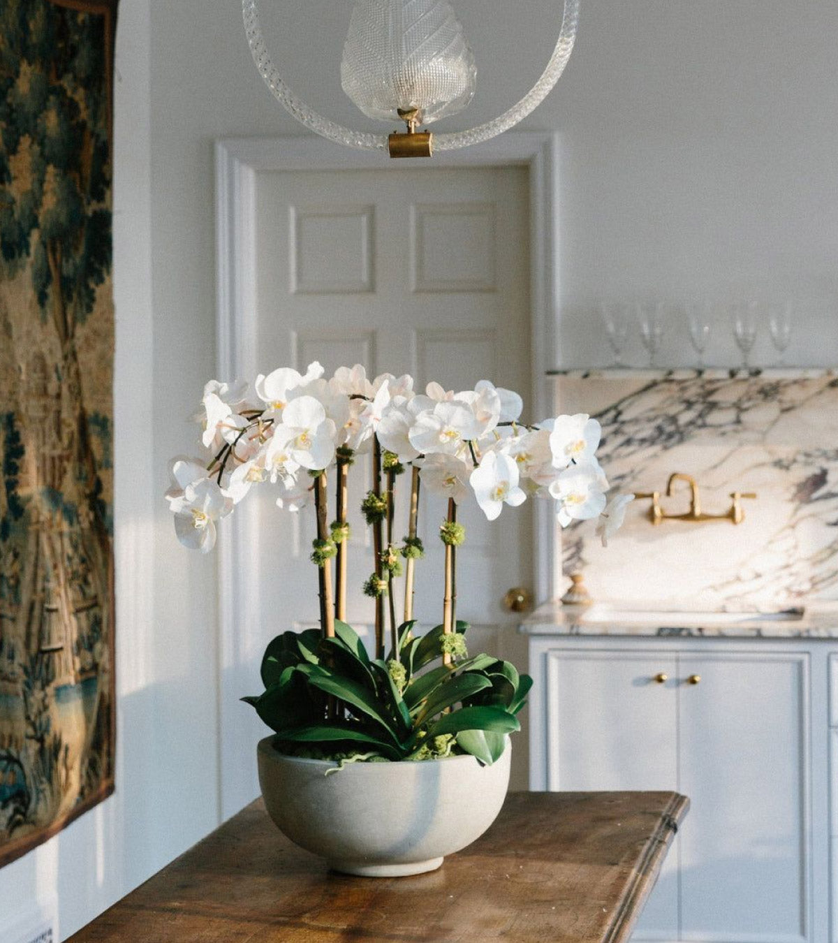 Why Orchids Are Such a Lovely Gift for Any Occasion
