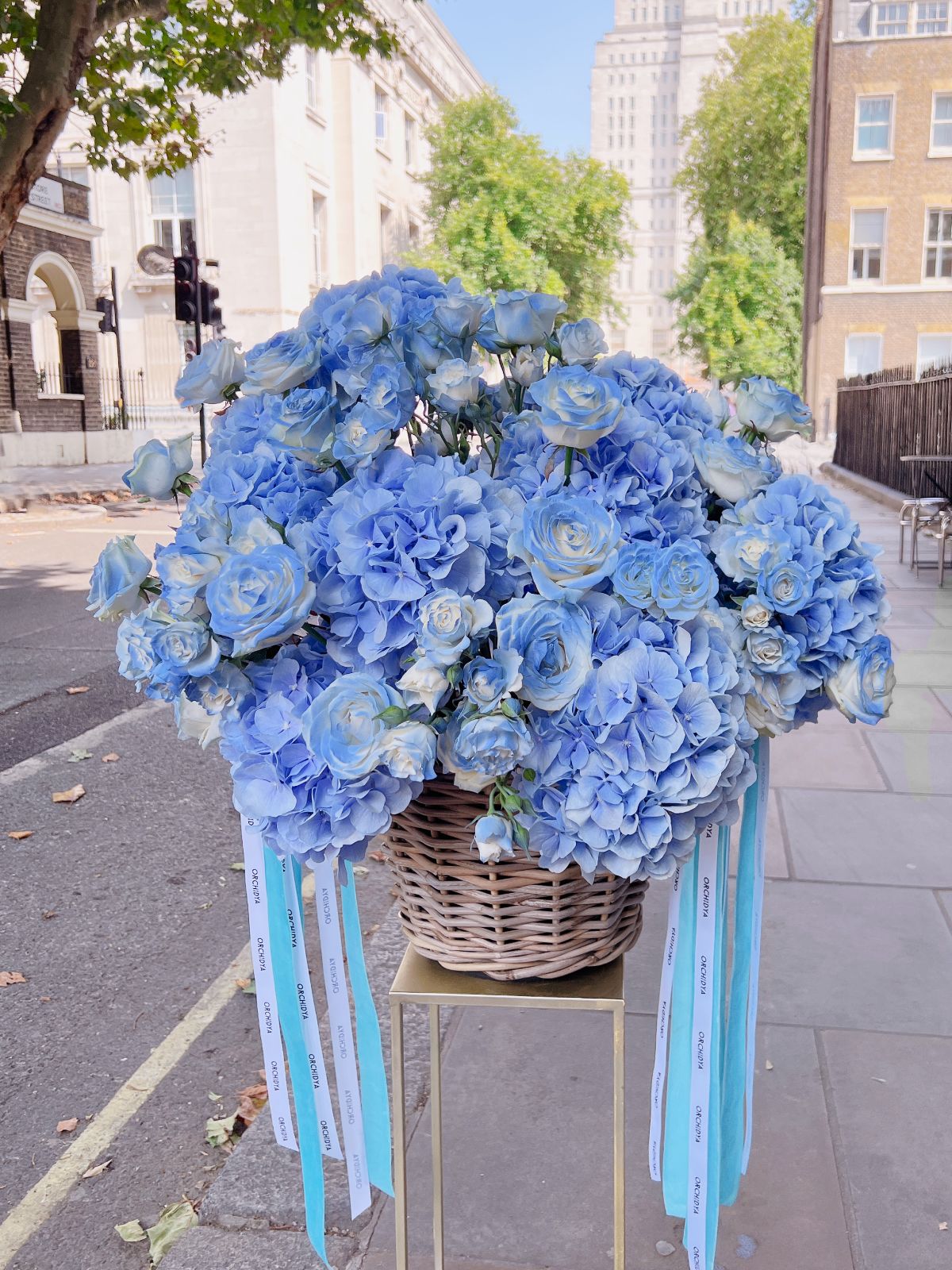 Baby Blue