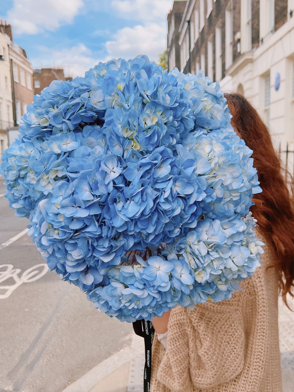 Light Blue Hydrangeas