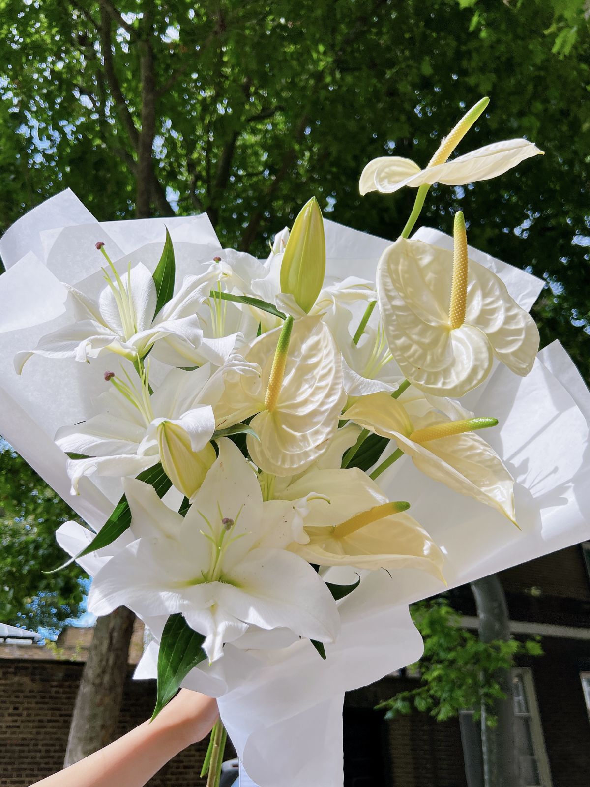 White Celebration