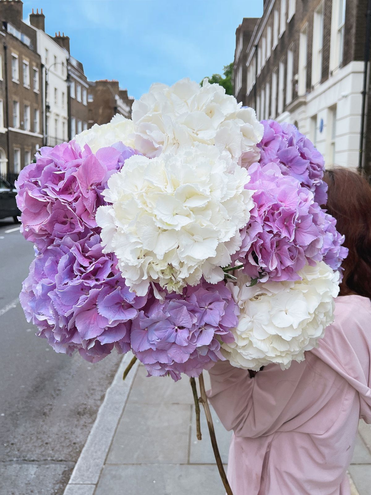 Lilac & White Hydrangeas