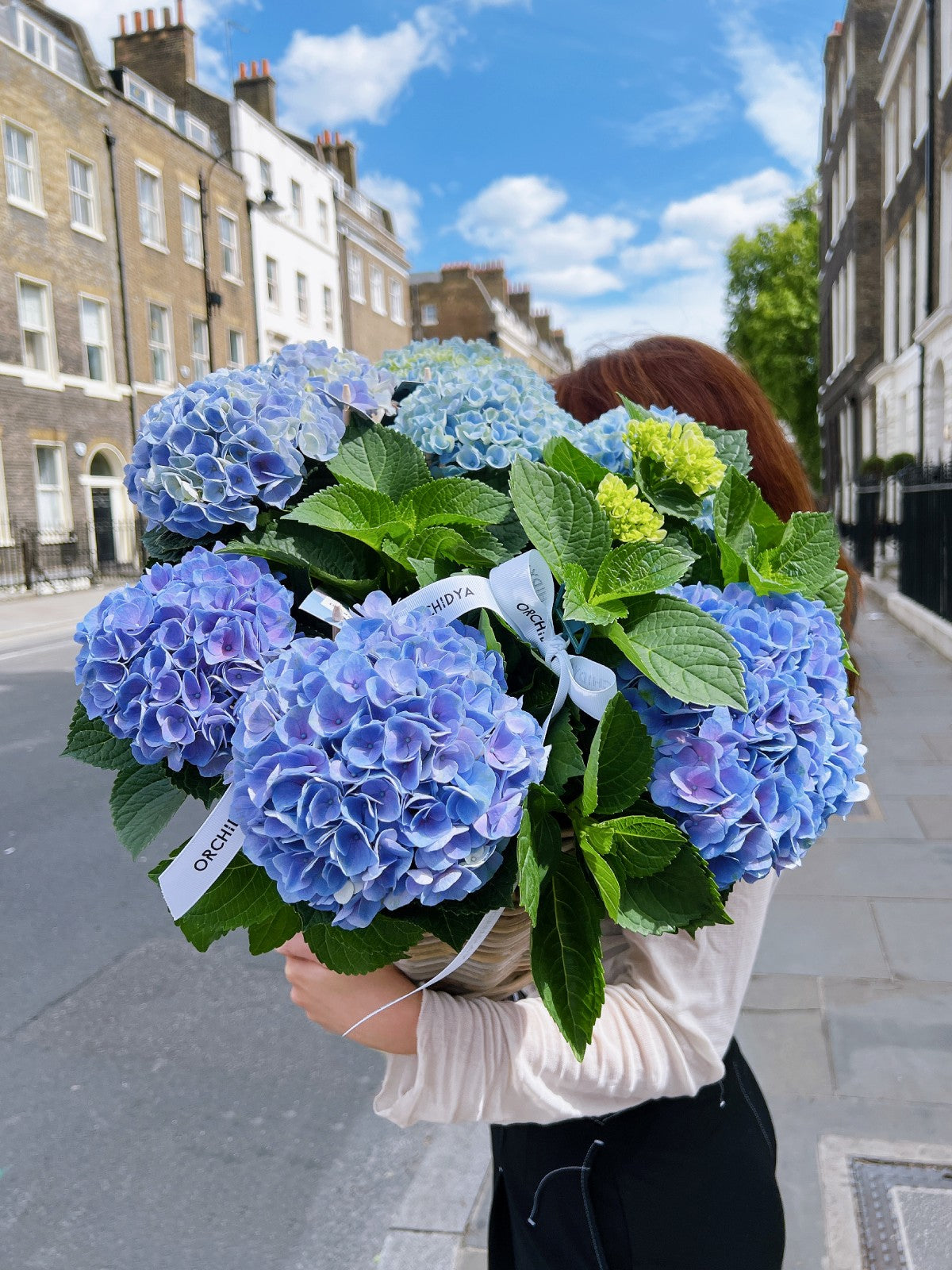 A person holding a basket of blue hydrangeas with green leaves.