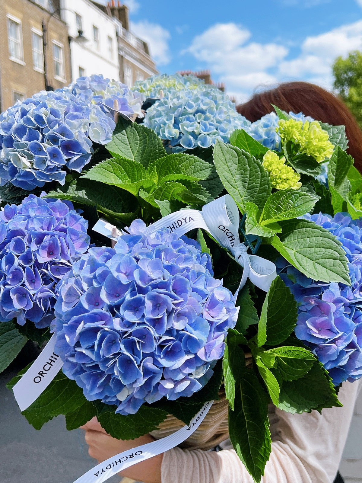 Blue Hydrangea Basket