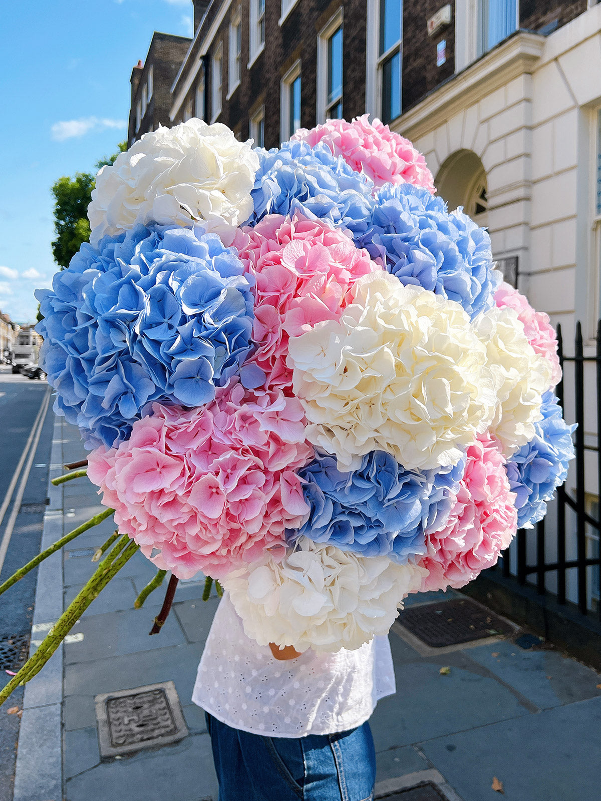 Hydrangeas Mix
