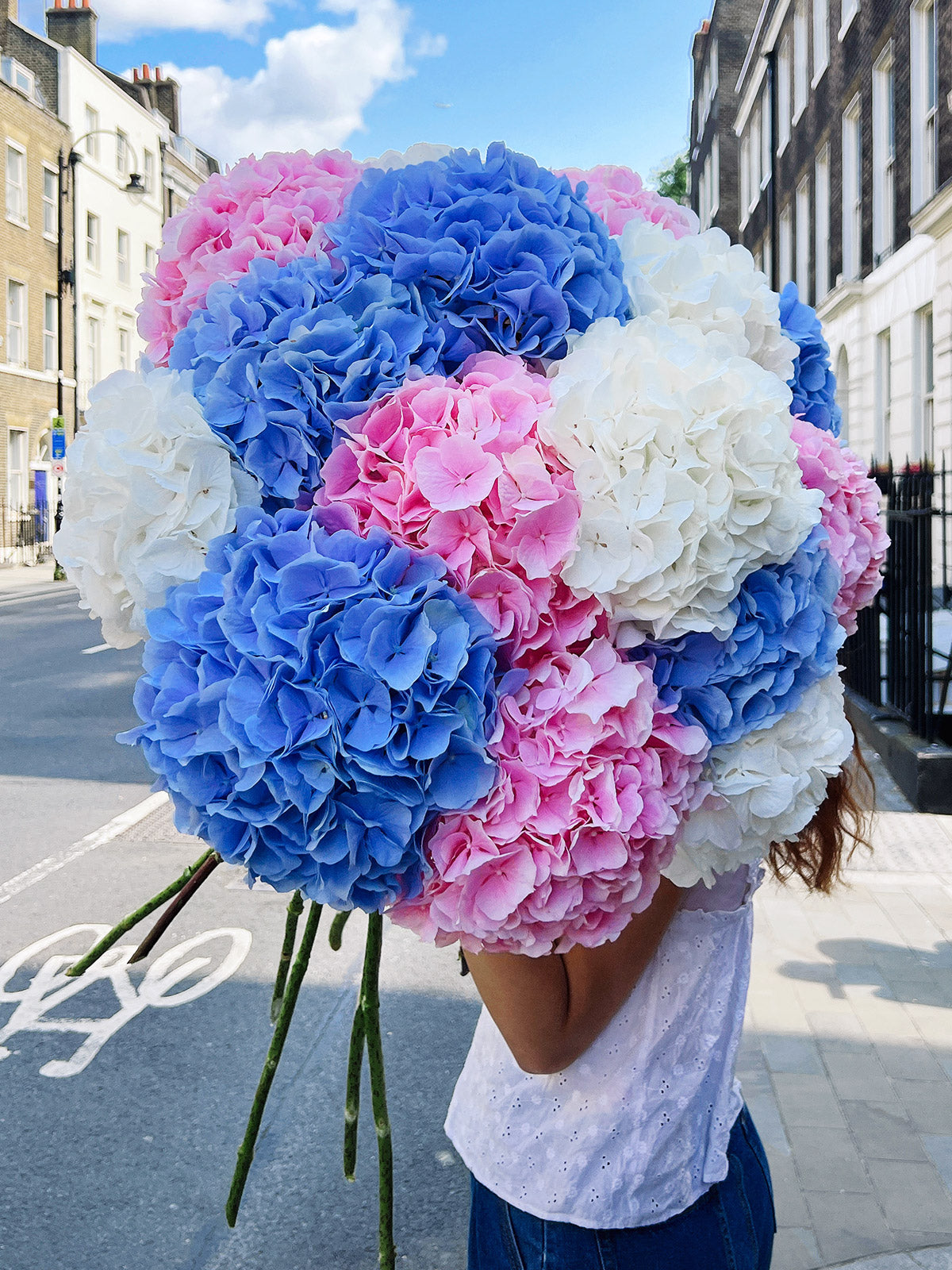Hydrangeas Mix