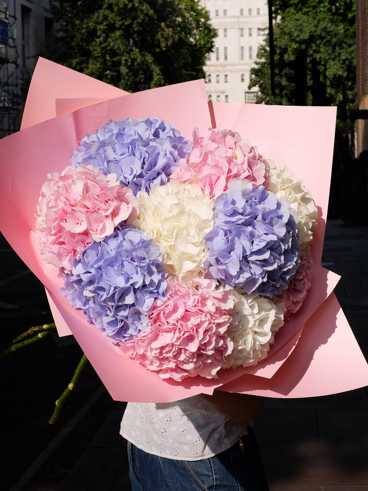 Hydrangeas Mix