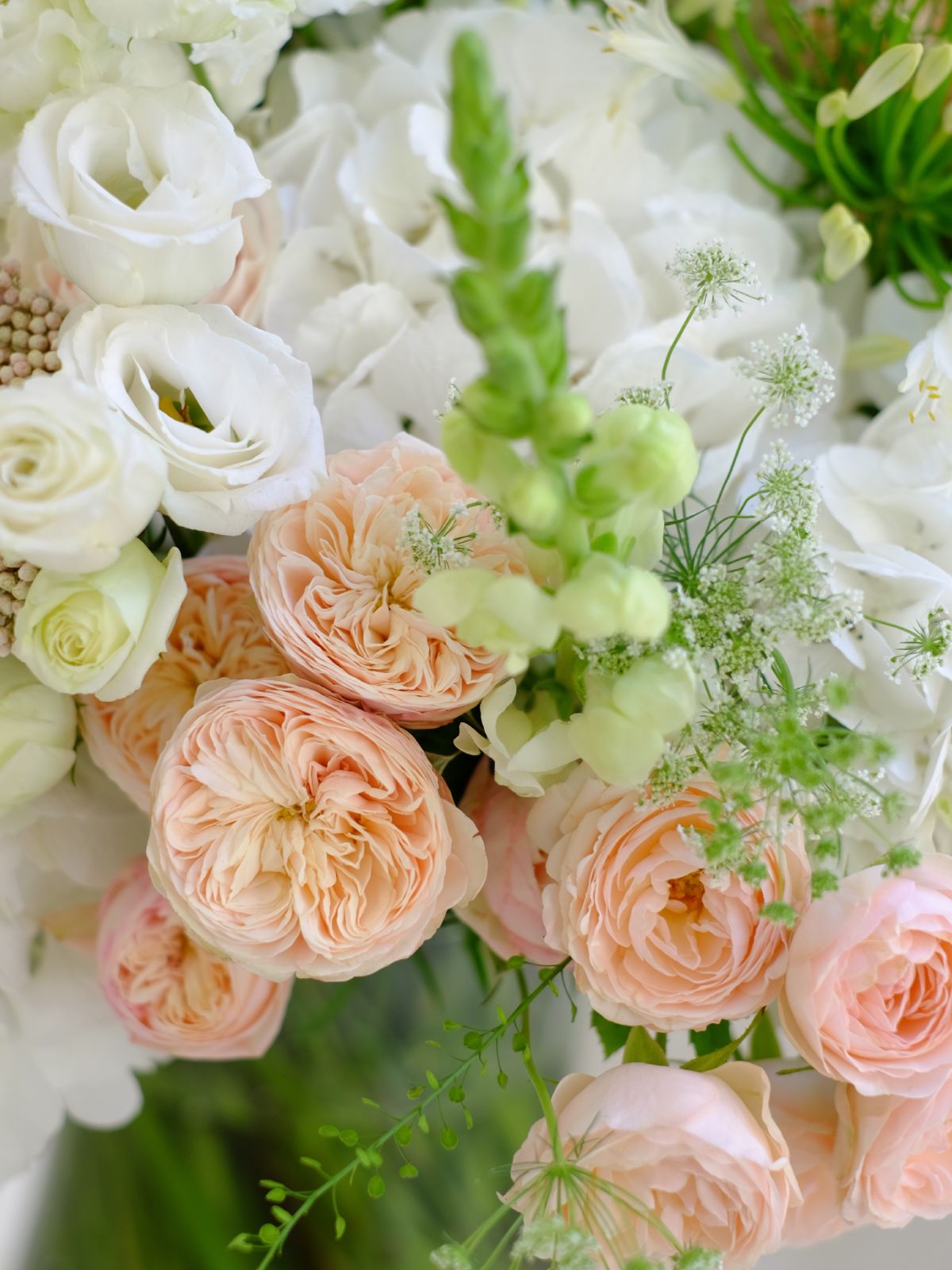 Petal Perfect