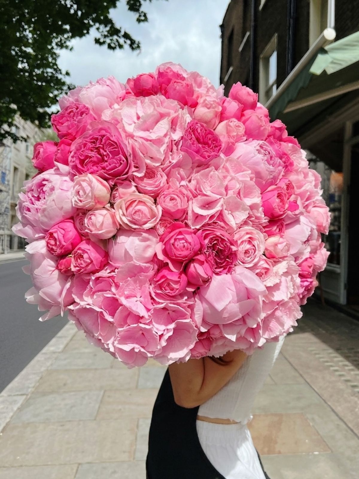 Mayfair Blush