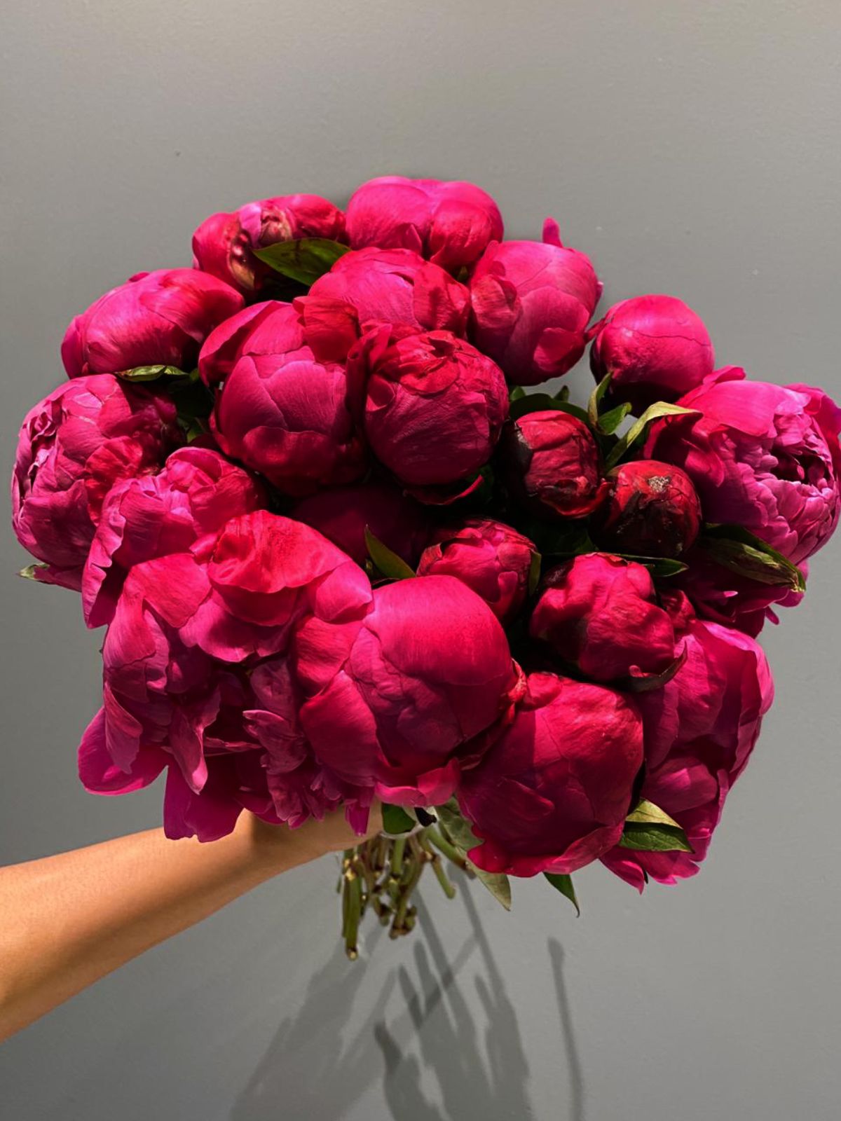 Dark Purple Peony Bouquet