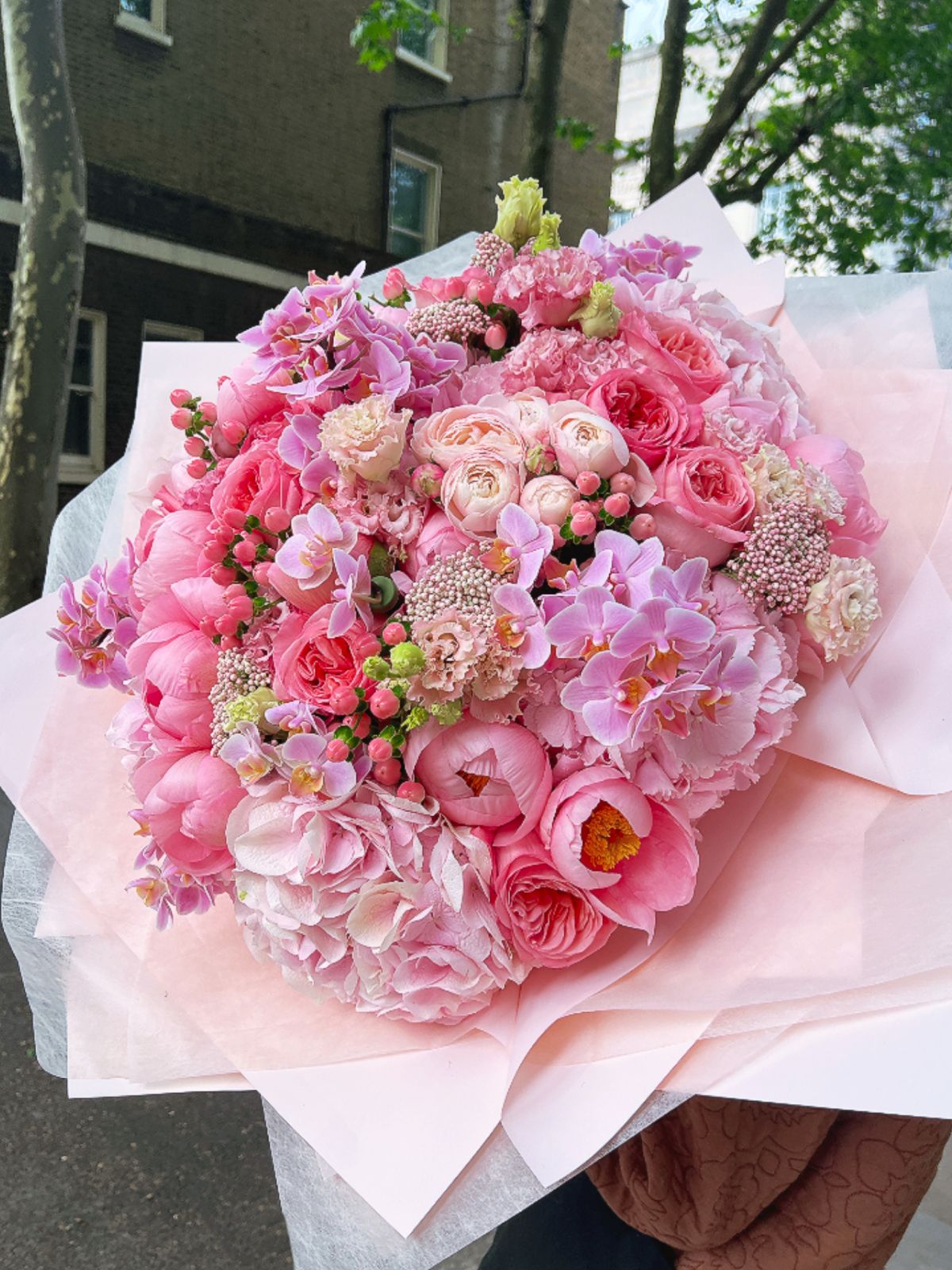 Pink Blossom