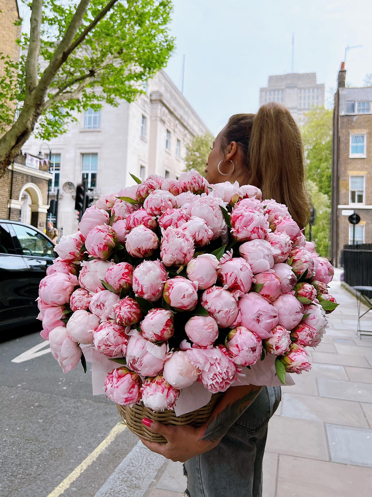 Peony Bliss