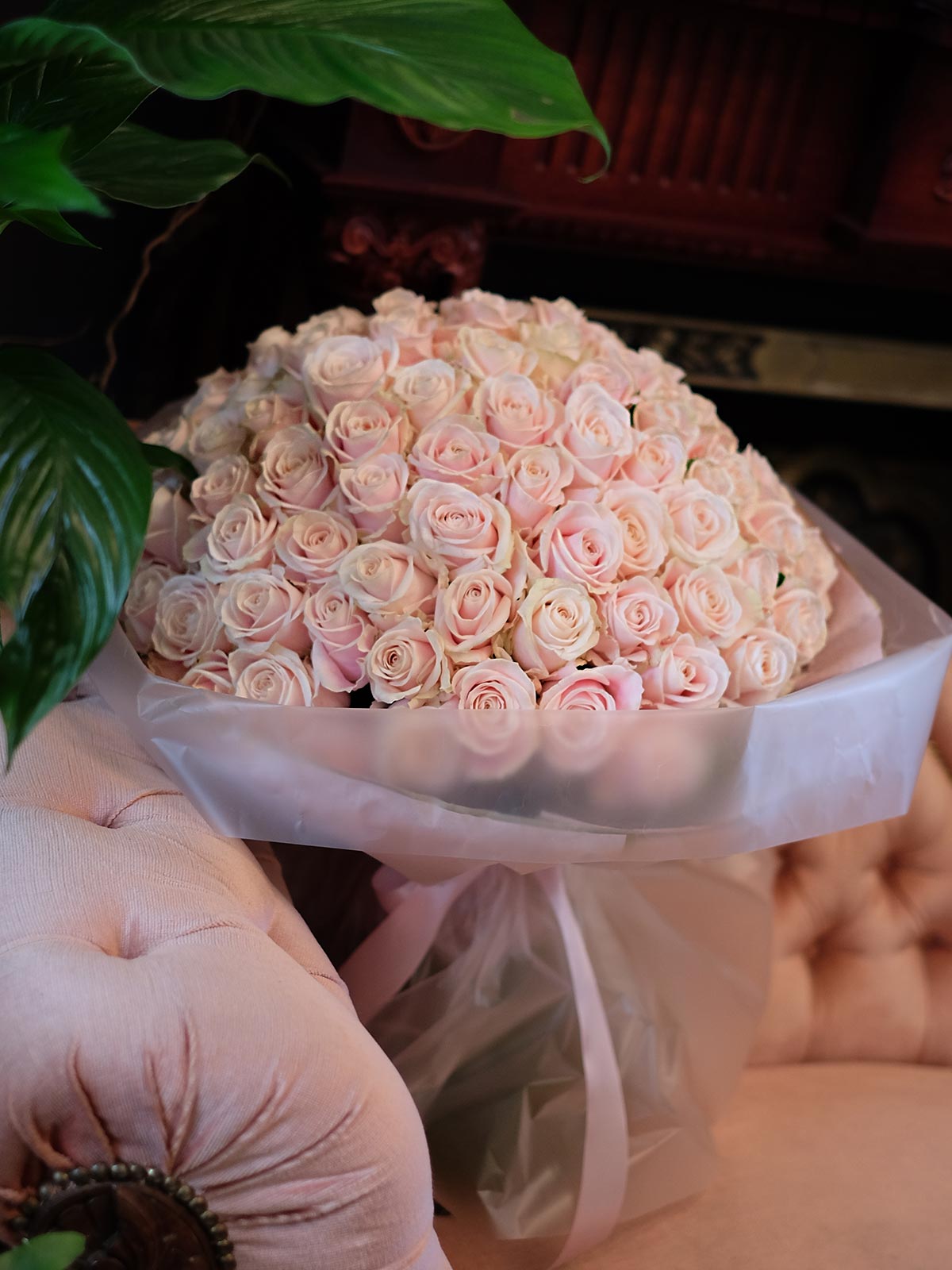 Pink Pearl