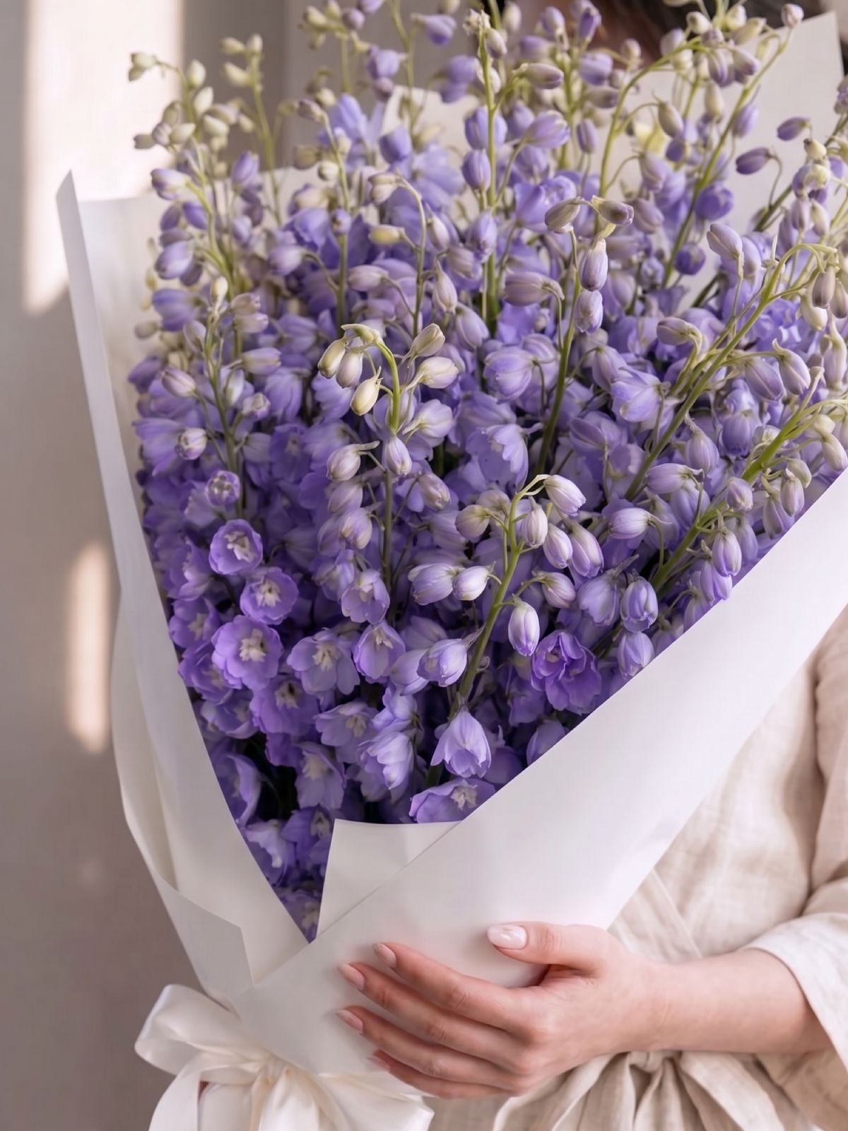 #colour_light purple
