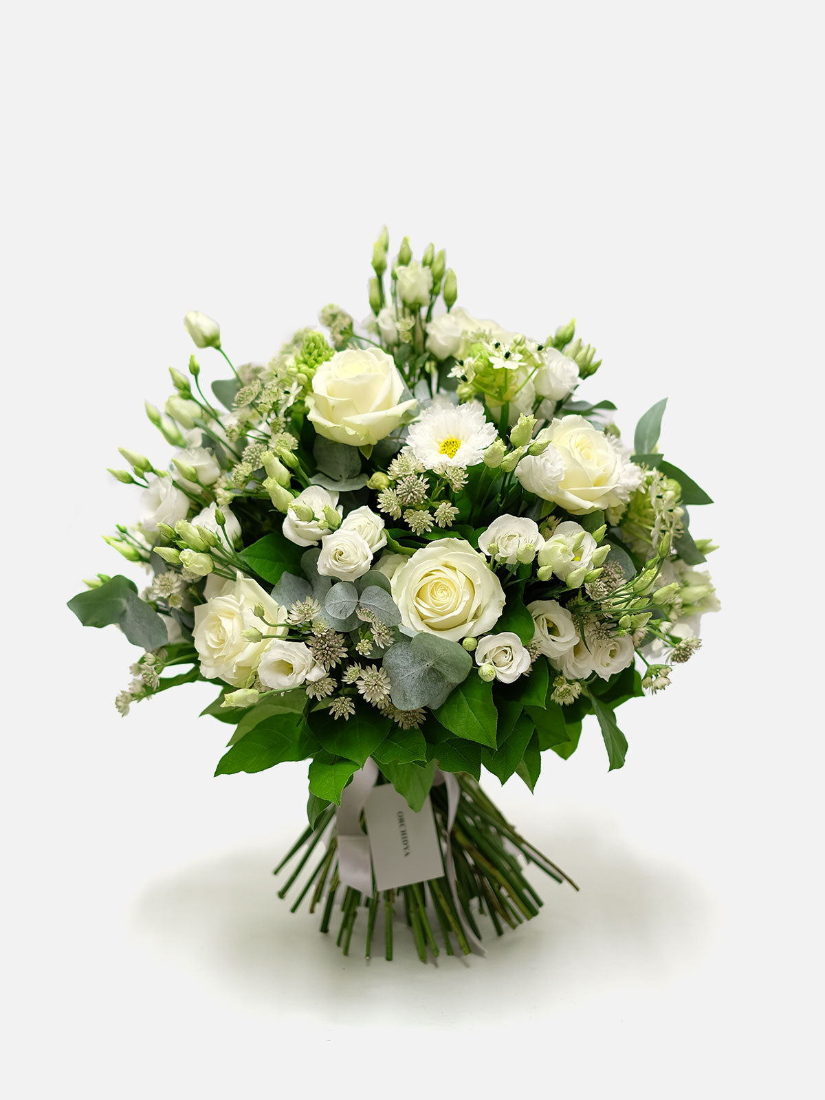 A classic green and white bouquet consisting of white avalanche roses and fragrant silver large leafed eucalyptus, wrapped with a ribbon.