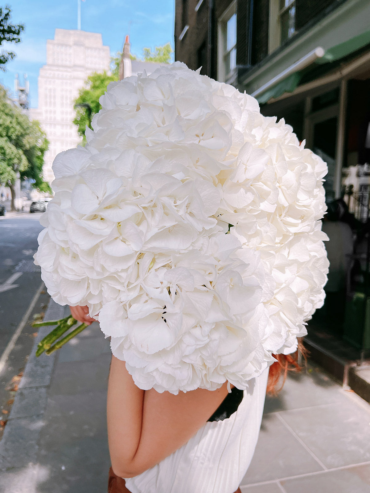 White Hydrangea Bouquet