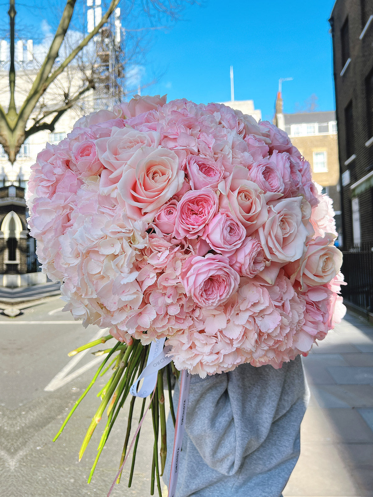A bouquet of pink peony roses and hydrangeas held by a person outdoors.