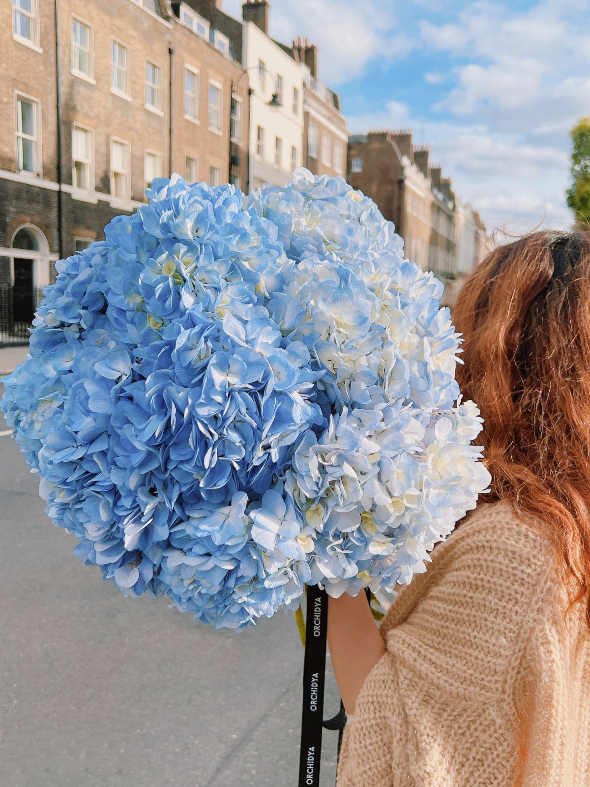 Light Blue Hydrangeas