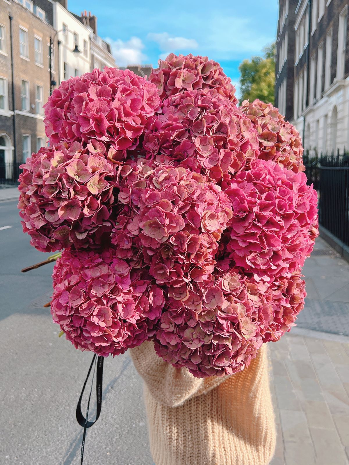 Autumn Pink Hydrangeas