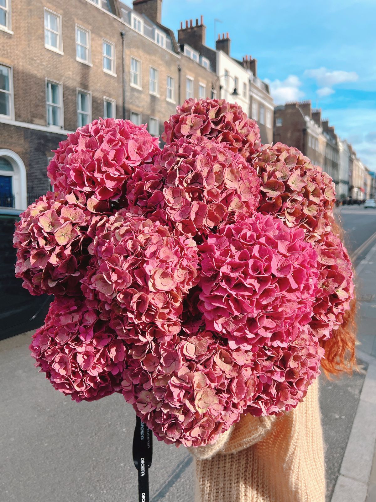 Autumn Pink Hydrangeas
