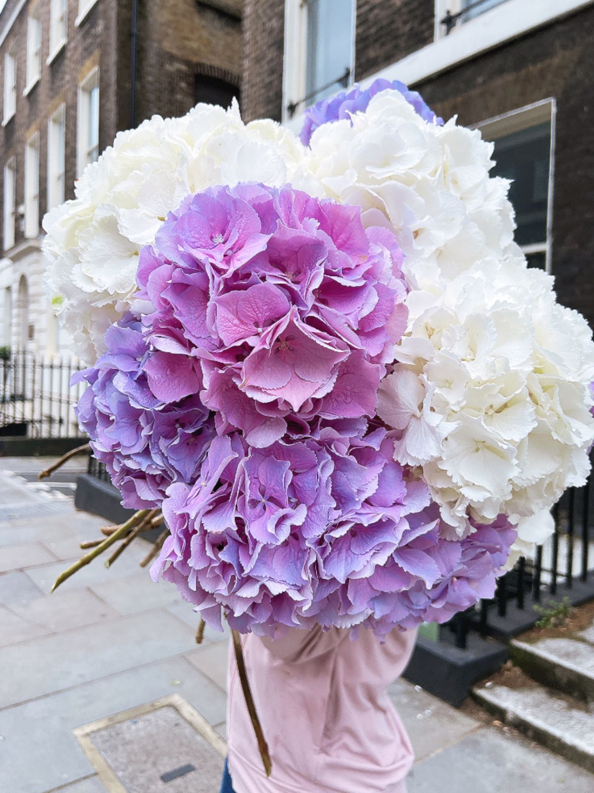 Lilac & White Hydrangeas