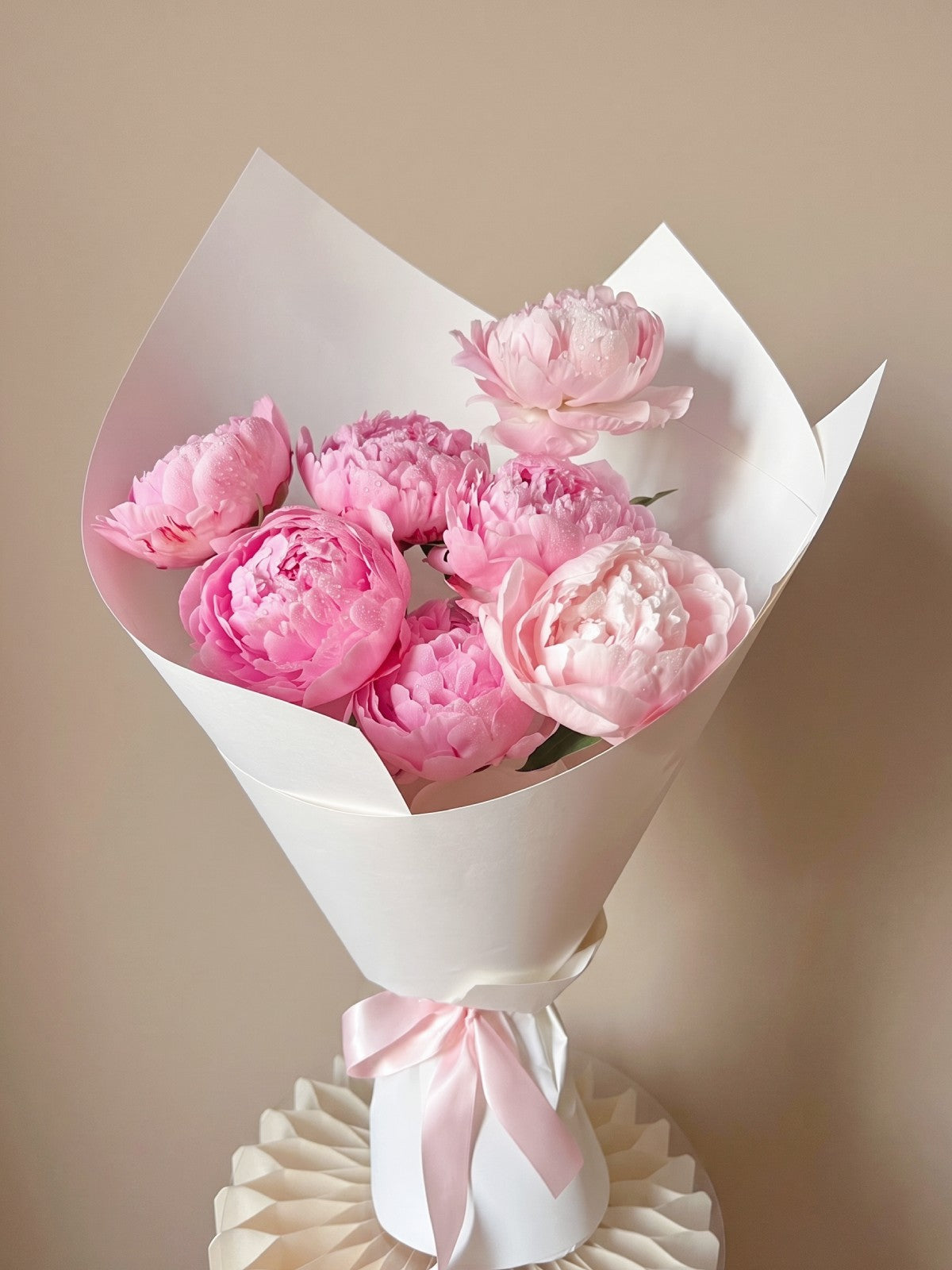7 Pink Peonies