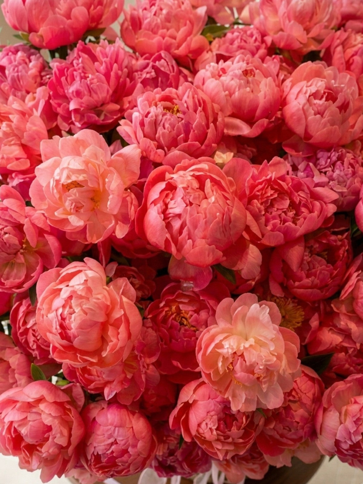 Coral Peony Basket