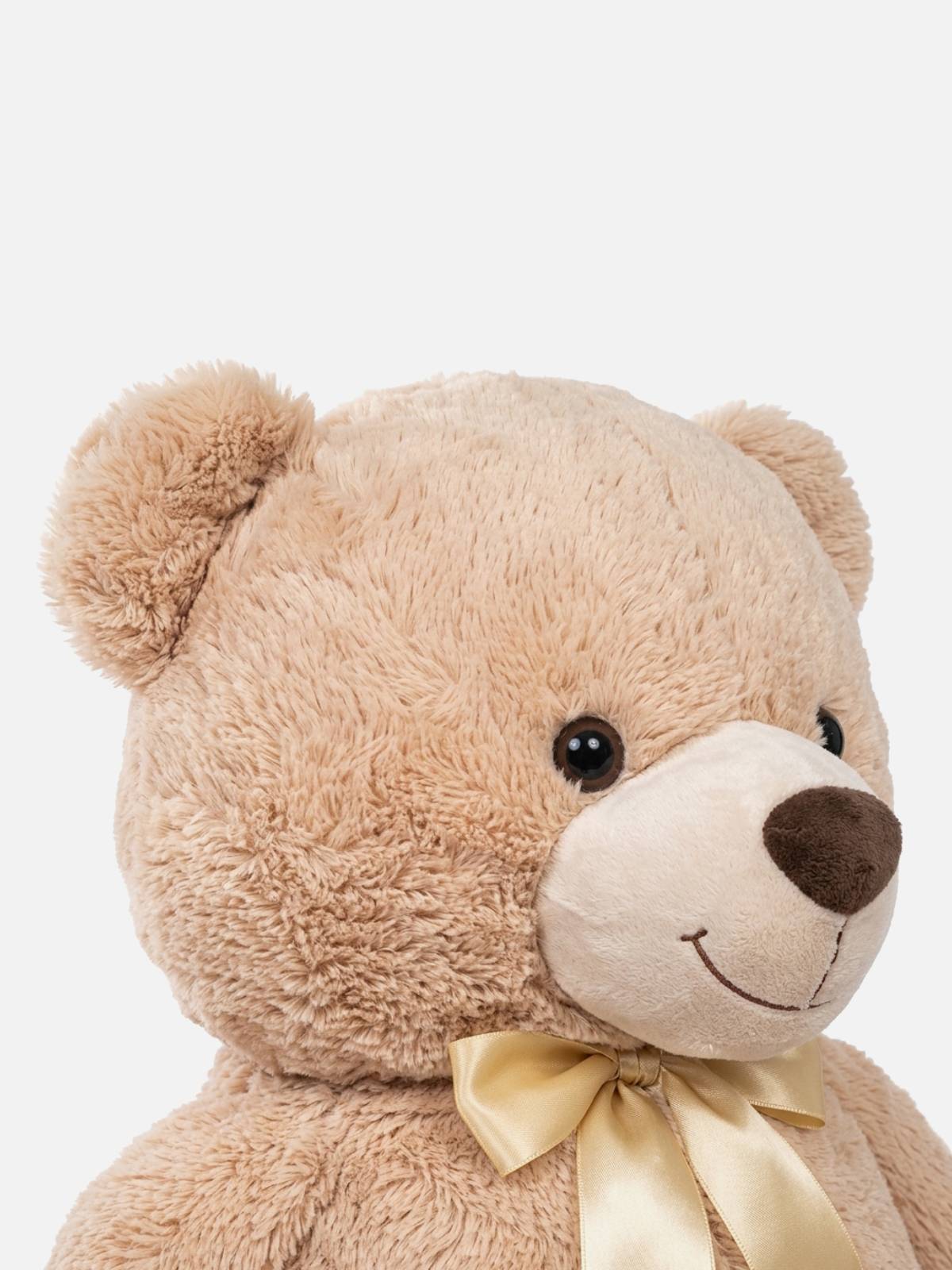 Cuddly Teddy Bear