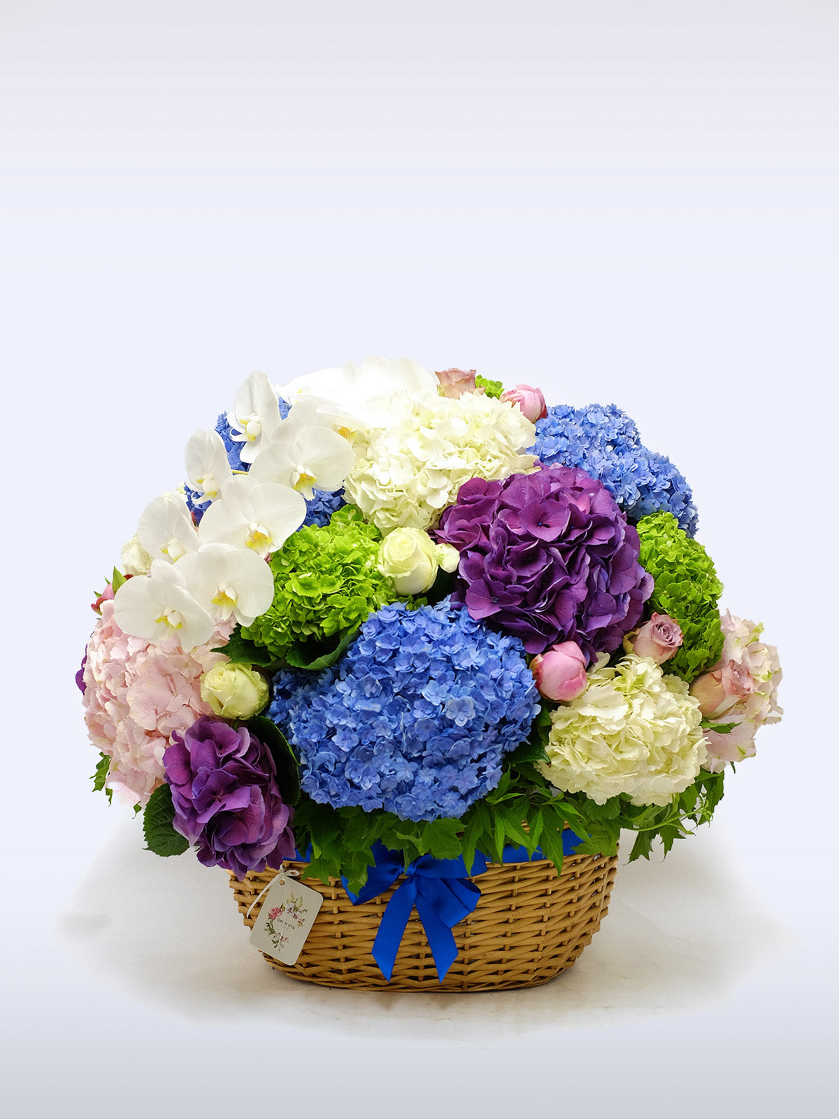 Congratulations!