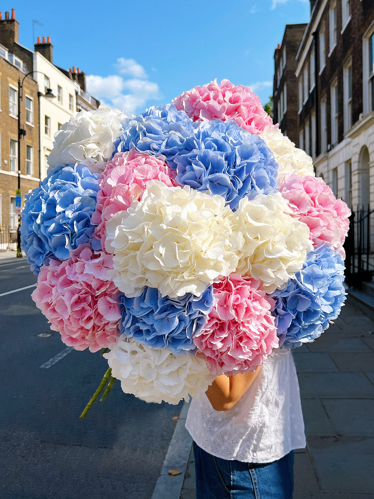 Hydrangeas Mix