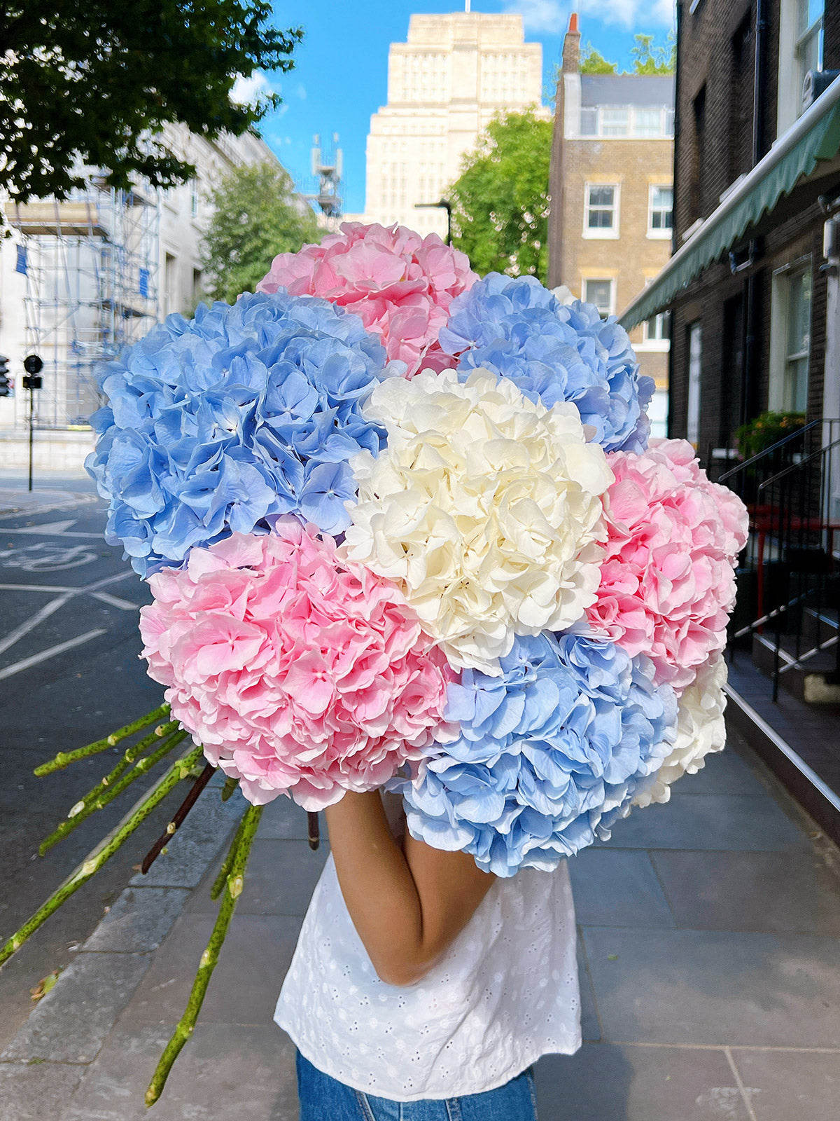 Hydrangeas Mix