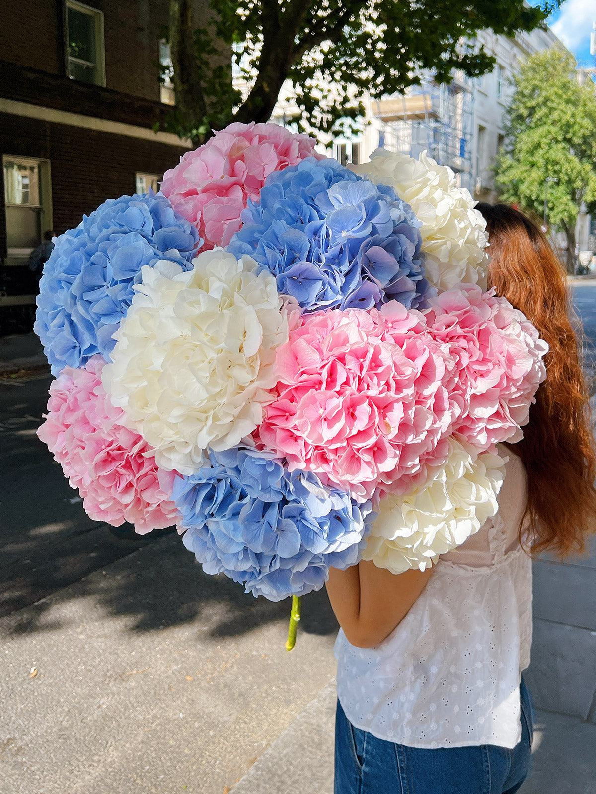 Hydrangeas Mix