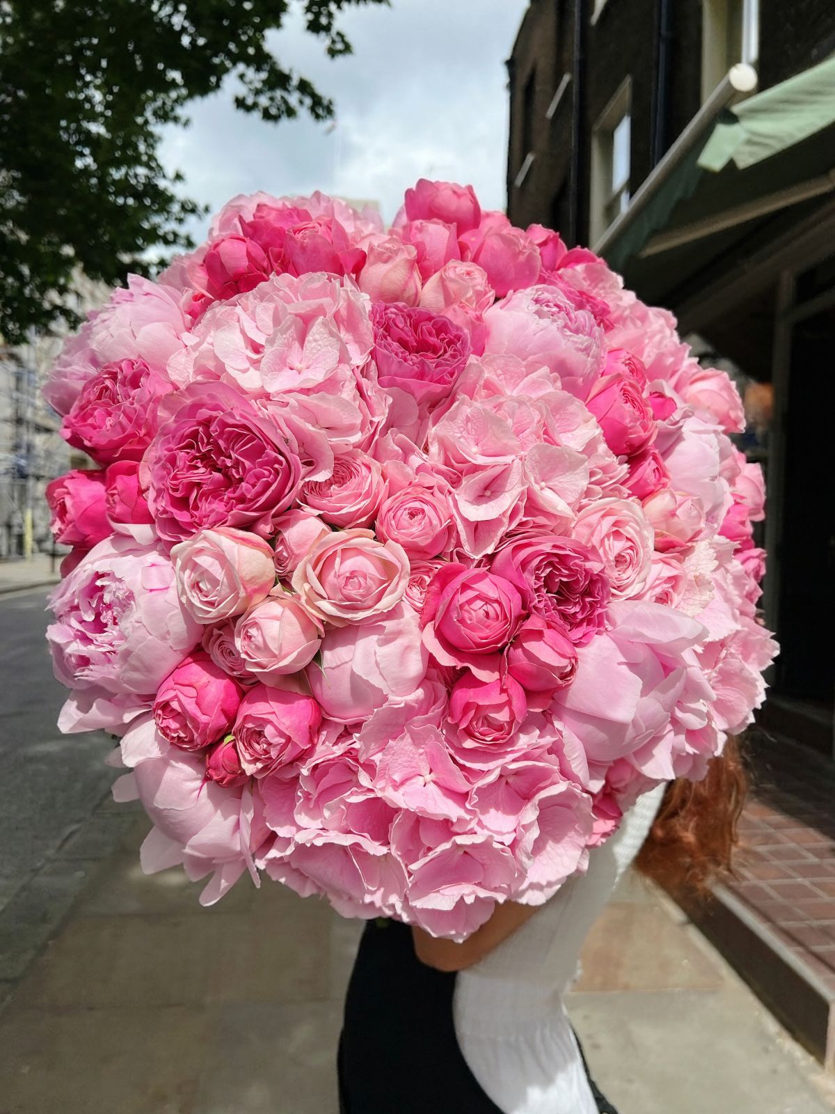 Mayfair Blush
