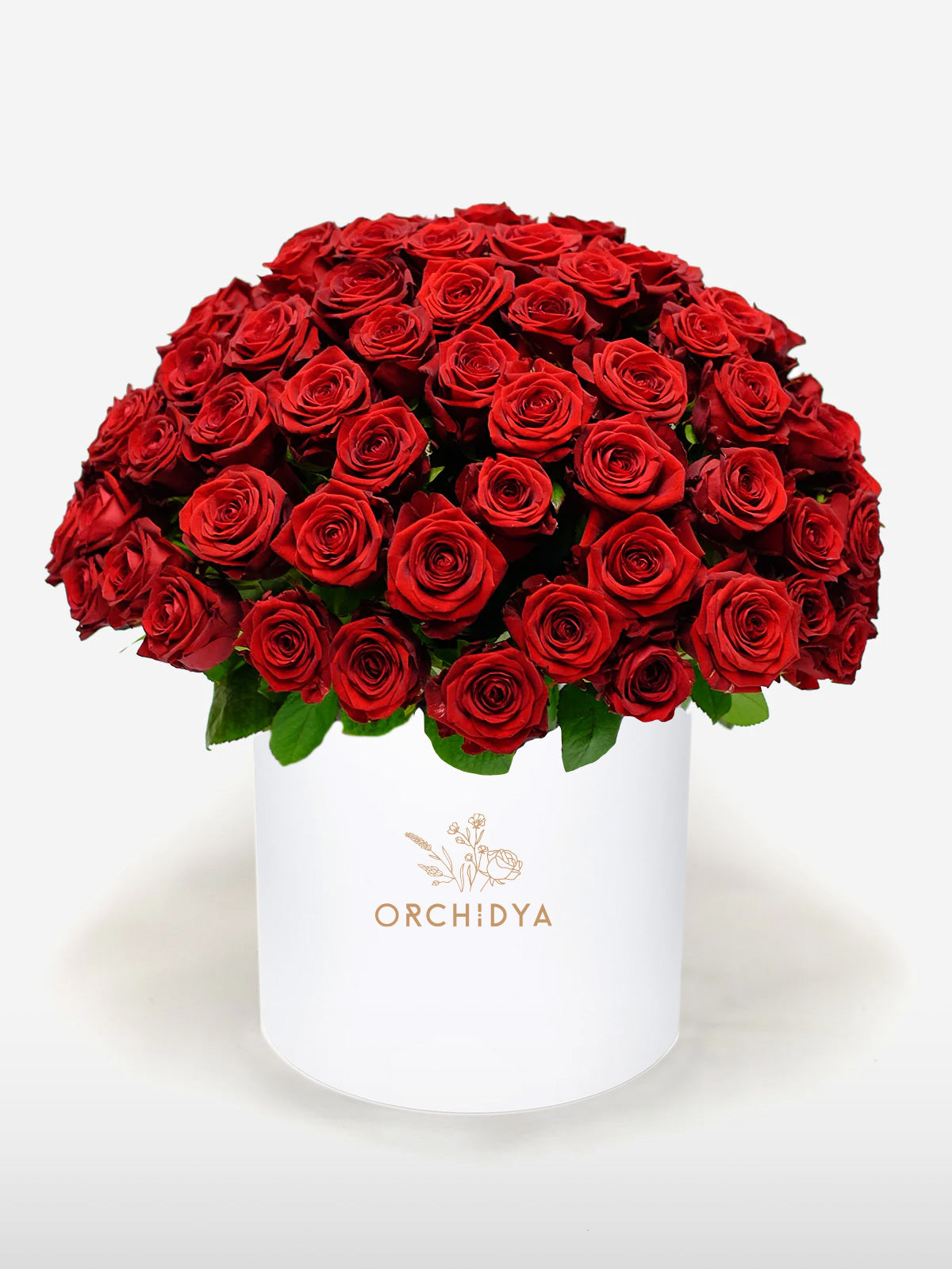 Red Roses | Flower Boxes & Basket | Flowers London | Luxury Roses