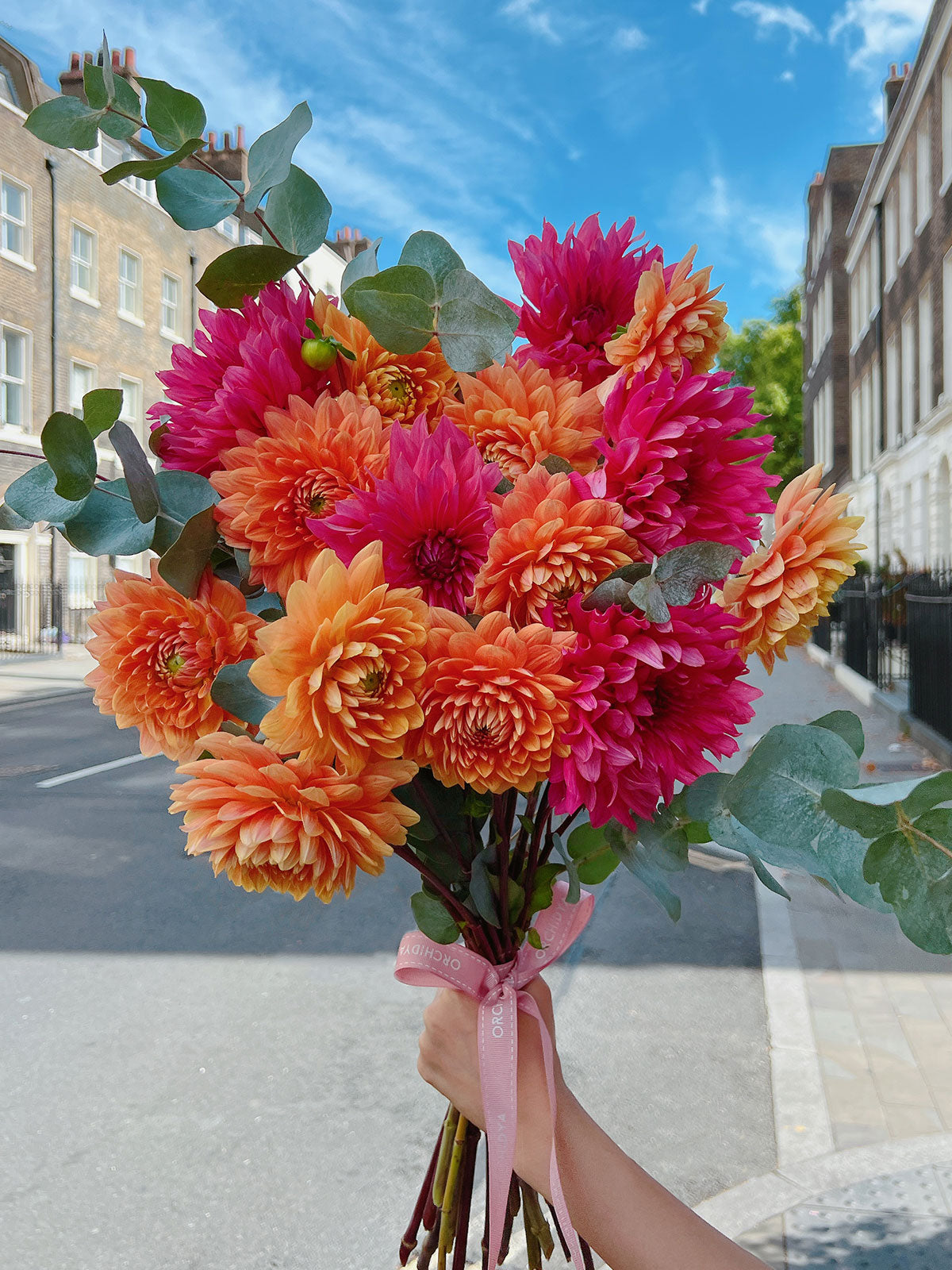 Orange Dahlia Fizz