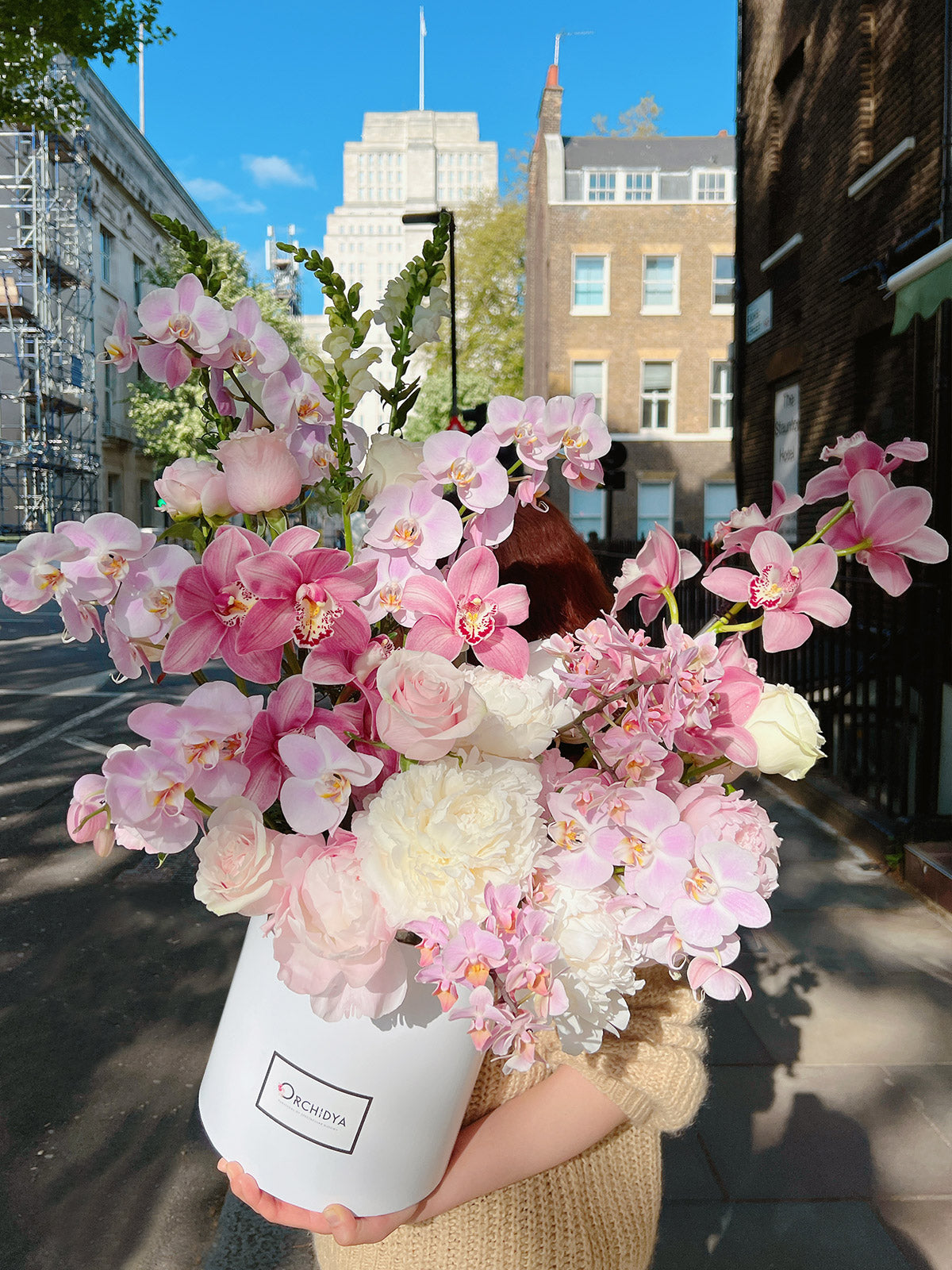 Orchid Allure