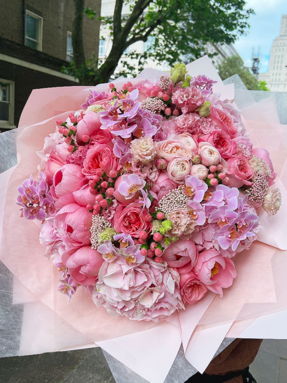 Pink Blossom