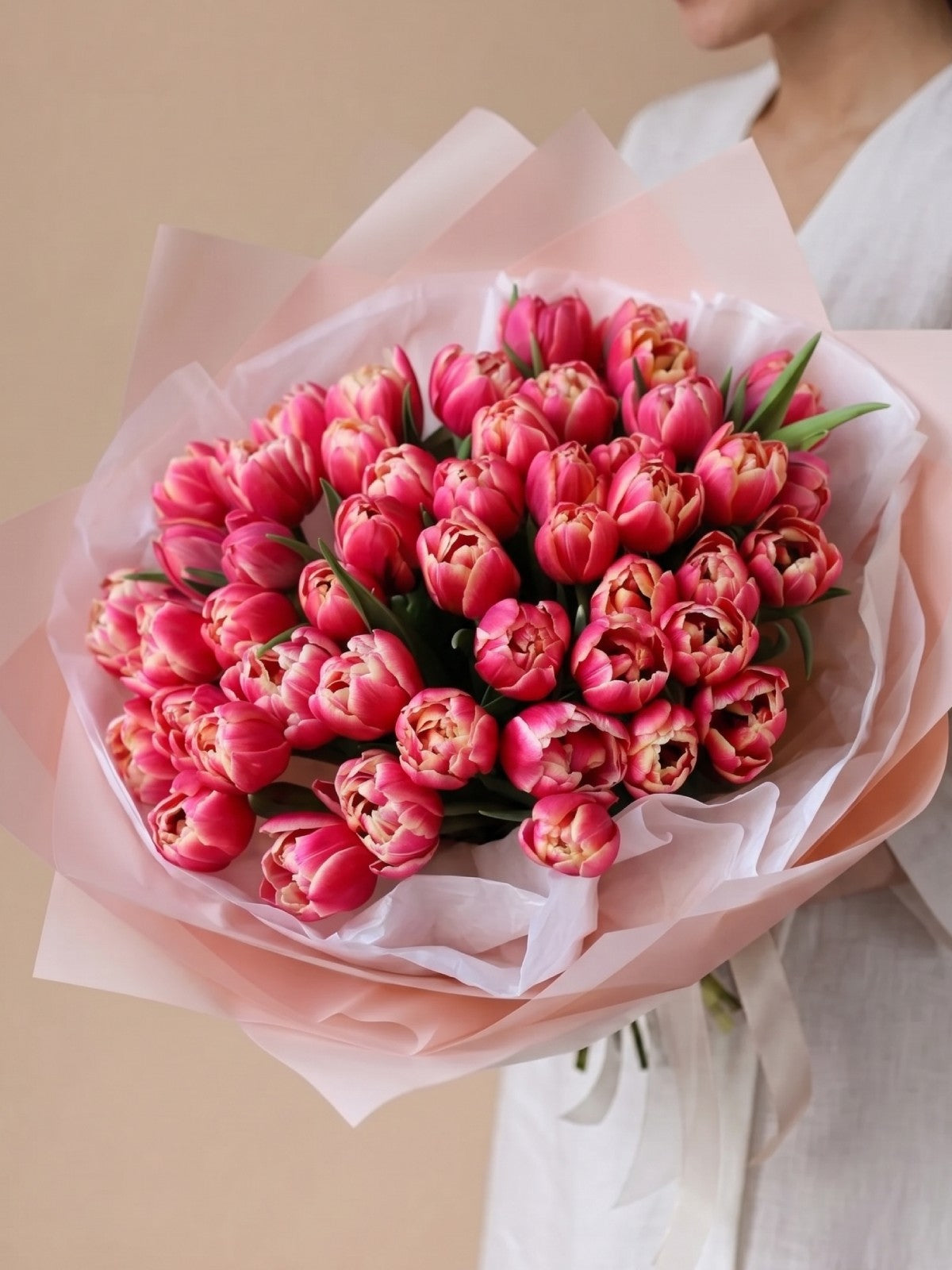 Columbus Tulips