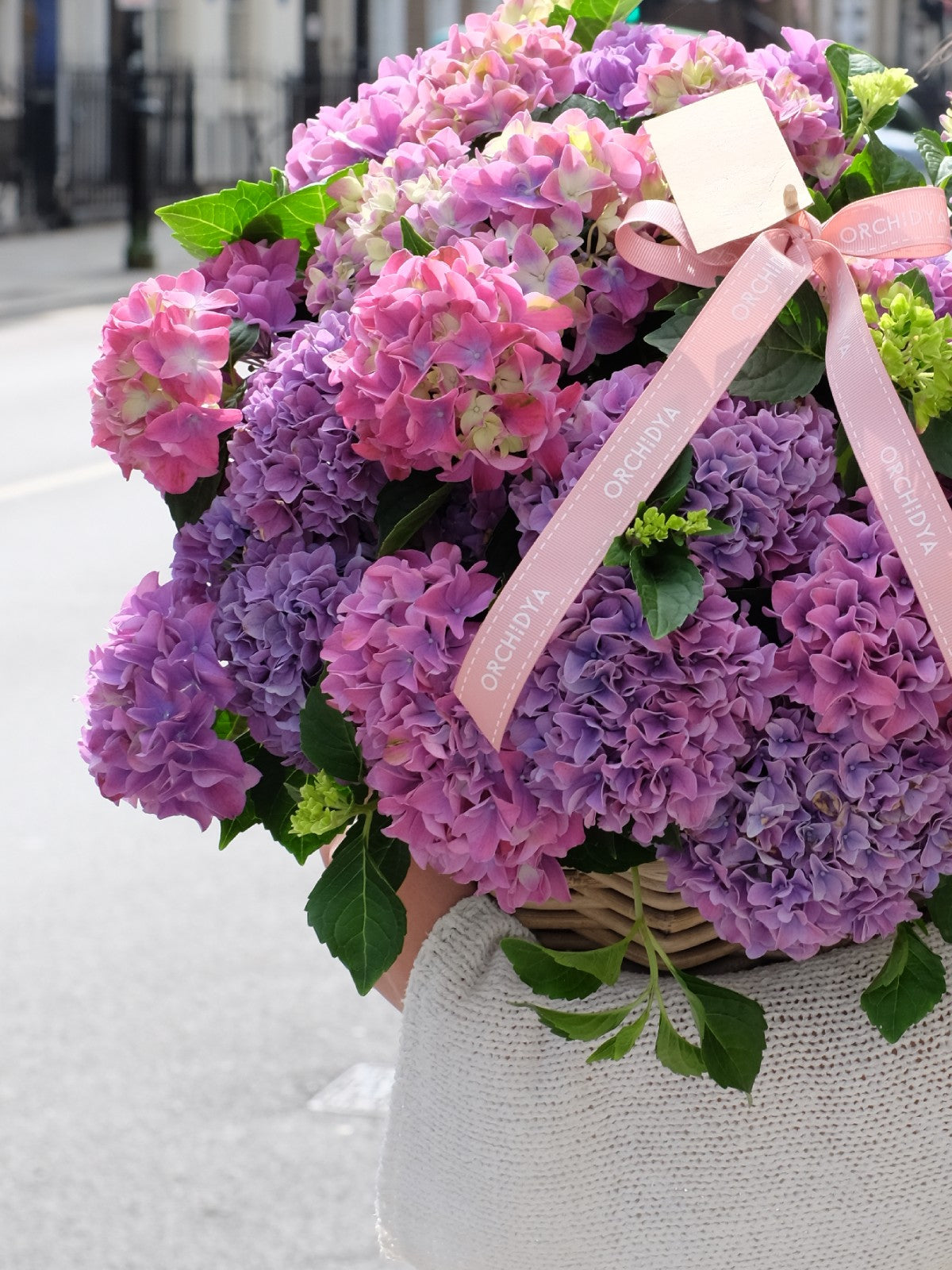 Purple Hydrangea Basket