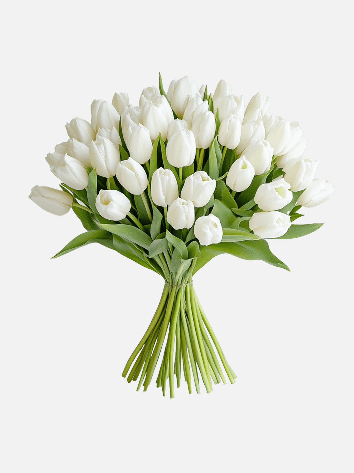 White Tulip Bouquet