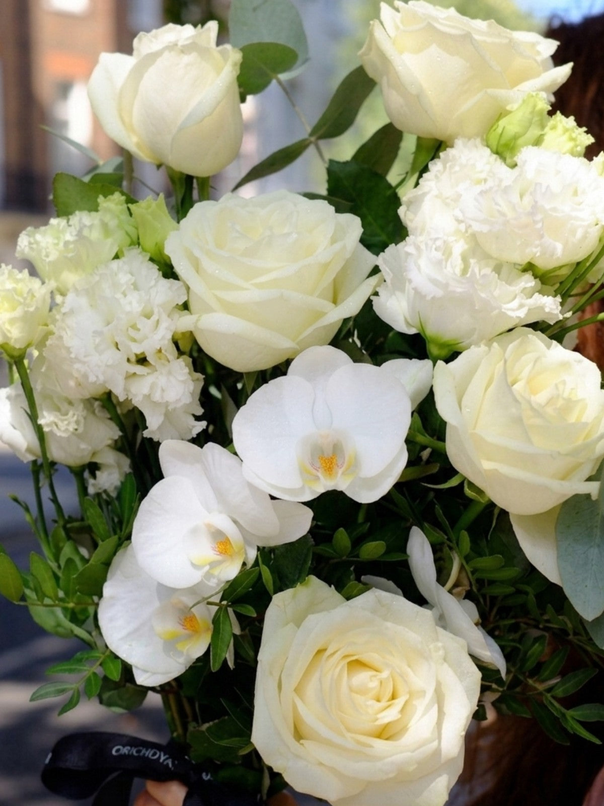 White Celebration