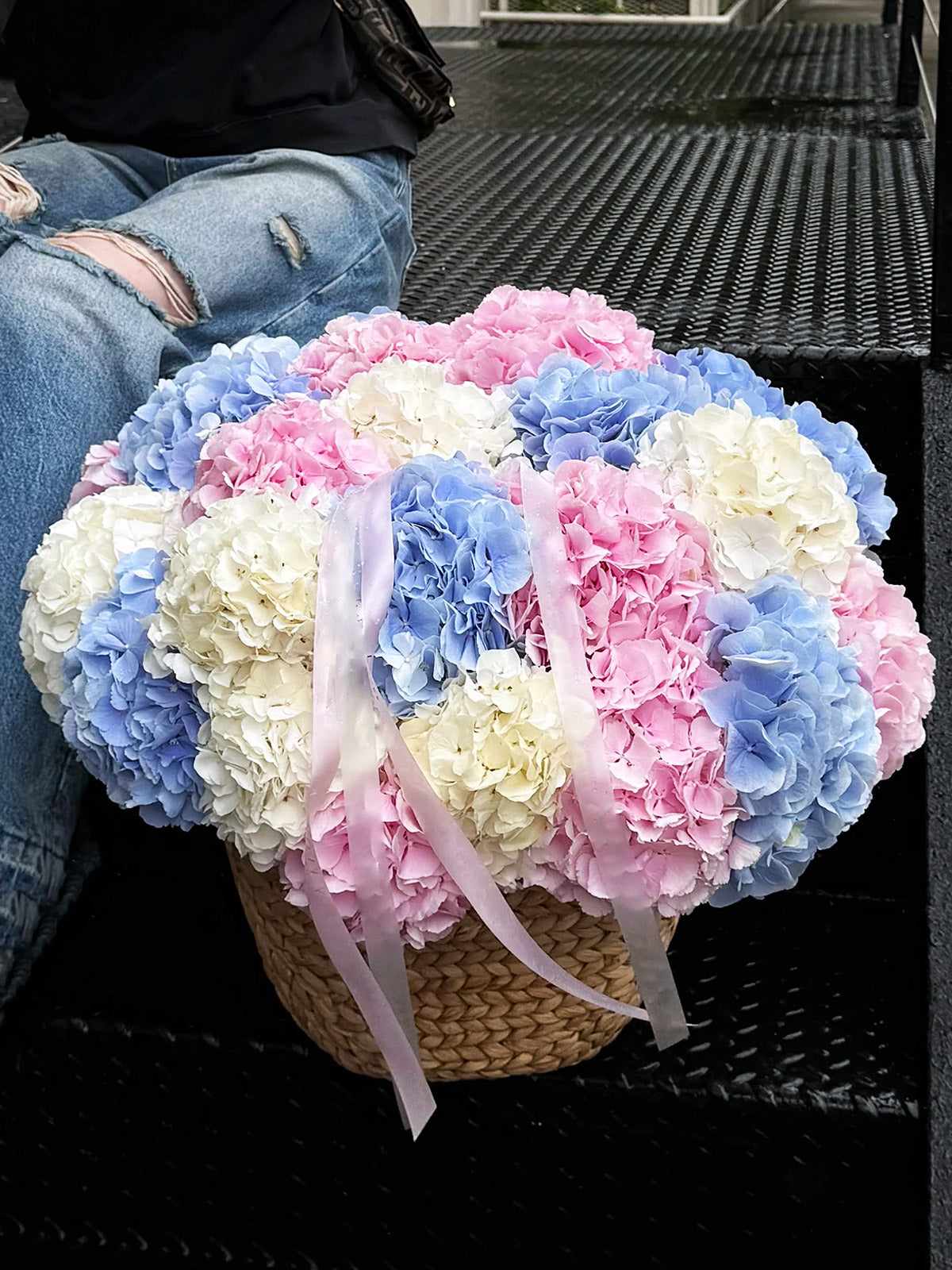Hydrangea Medley