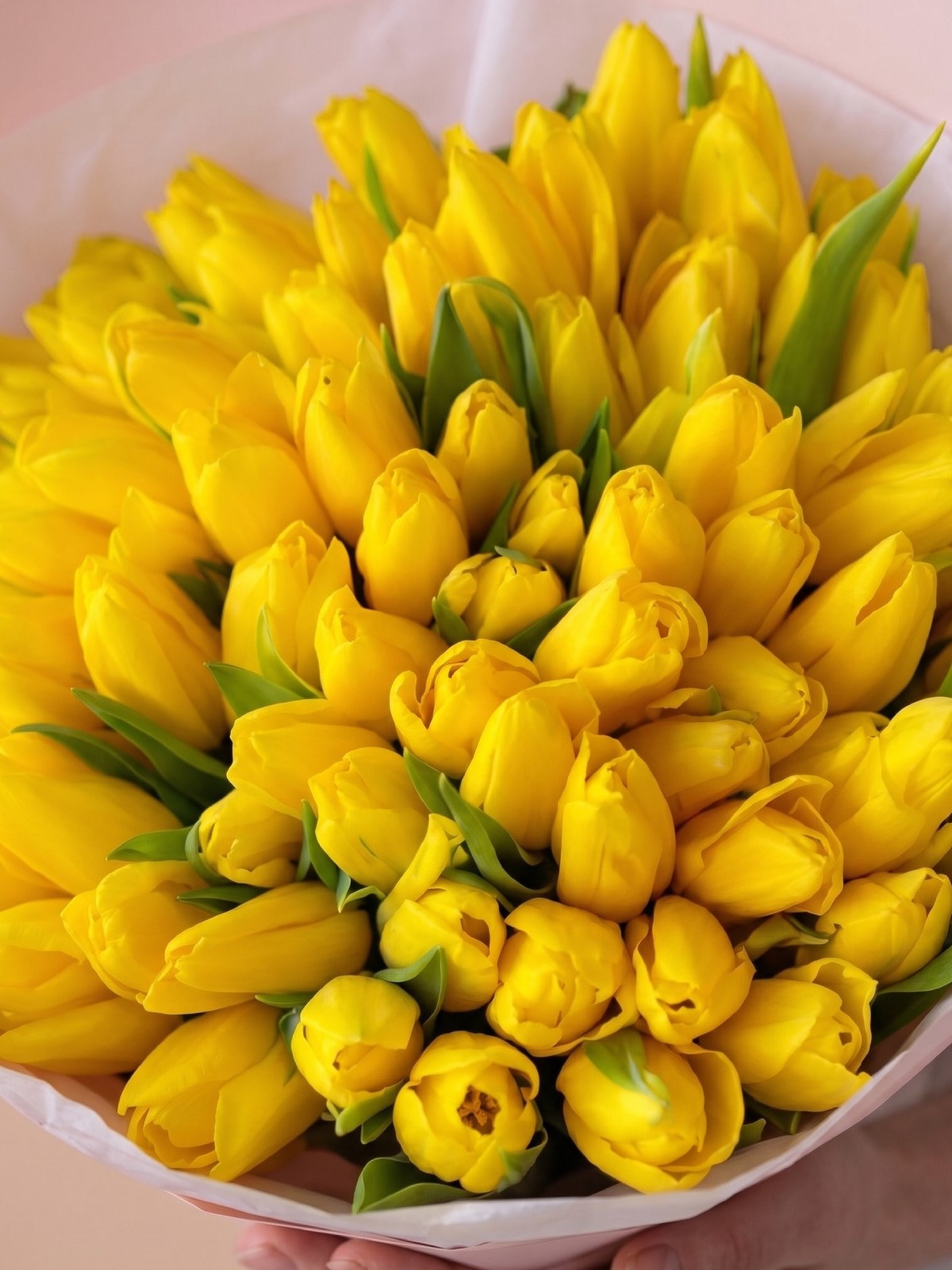 Yellow Tulips Bouquet